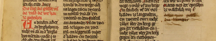 Urbar-Codex_des_Dominikanerinnenklosters_St._Katharina-_Freiburg.jpg